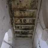 ...e in alto soffitti in legno...